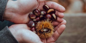 castagne