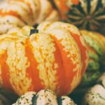 zucca